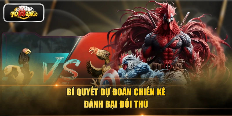 Bí quyết dự đoán chiến kê đánh bại đối thủ