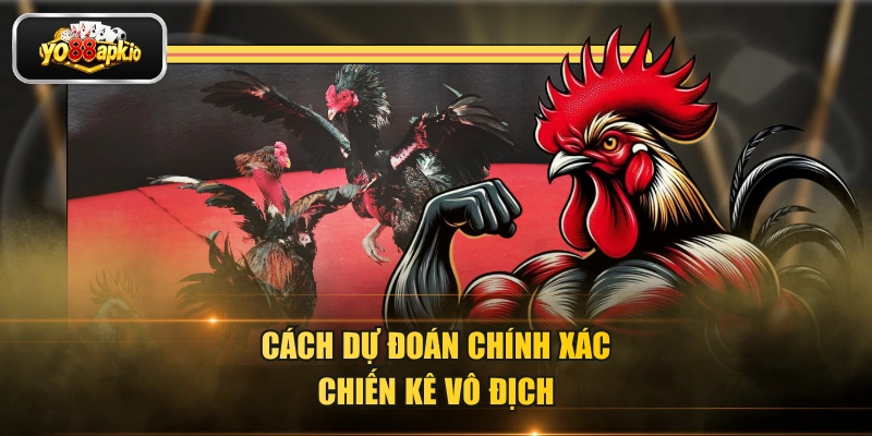 Cách dự đoán chính xác chiến kê vô địch