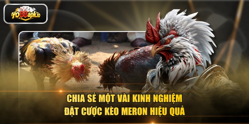 Chia sẻ một vài kinh nghiệm đặt cược kèo Meron hiệu quả