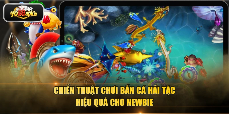 Chiến thuật chơi bắn cá hải tặc hiệu quả cho newbie