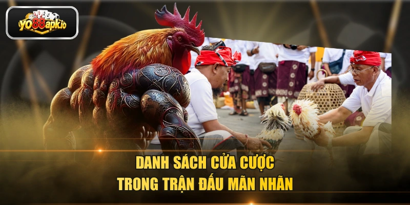 Danh sách cửa cược trong trận đấu mãn nhãn