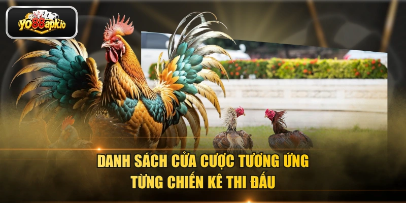 Danh sách cửa cược tương ứng từng chiến kê thi đấu