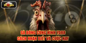 Gà Bông Cùng Hình YO88 - Cách Nhận Biết Và Cược Hay