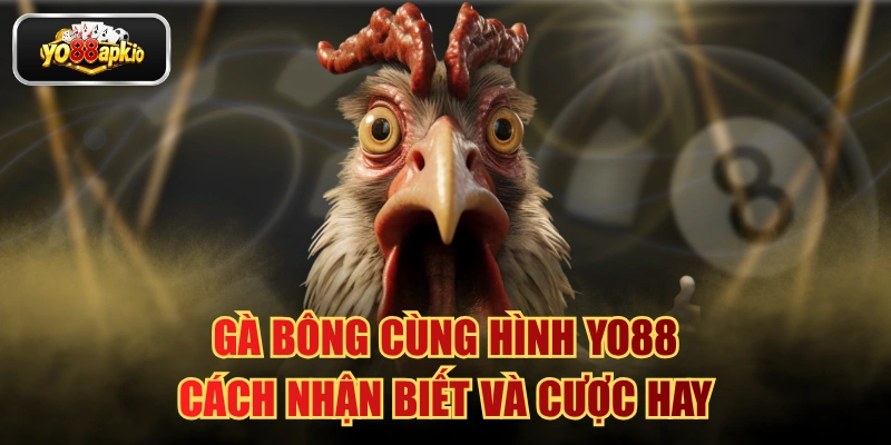 Gà Bông Cùng Hình YO88 - Cách Nhận Biết Và Cược Hay