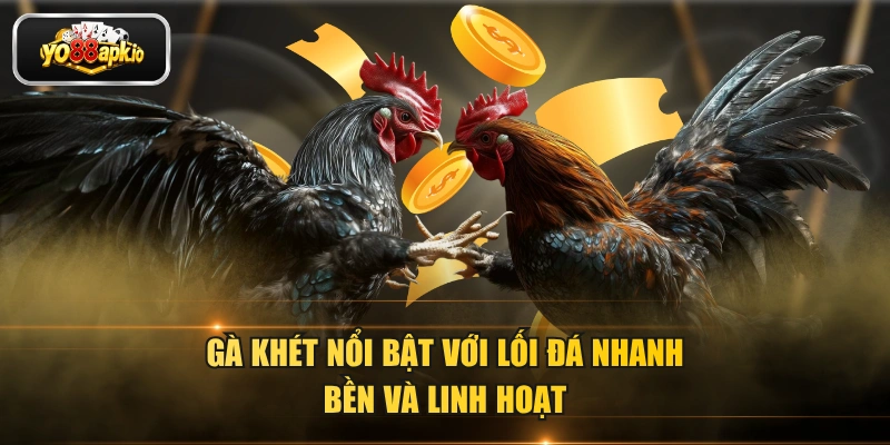 Gà khét nổi bật với lối đá nhanh, bền và linh hoạt Gà khét nổi bật với lối đá nhanh, bền và linh hoạt