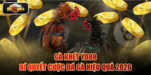 Gà Khét YO88 - Bí Quyết Cược Đá Gà Hiệu Quả 2026