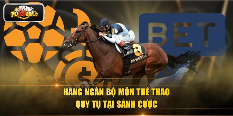 Hàng ngàn bộ môn thể thao quy tụ tại sảnh cược
