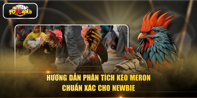 Hướng dẫn phân tích kèo Meron chuẩn xác cho newbie
