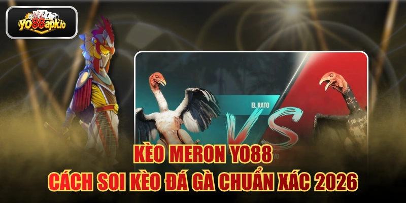 Kèo Meron YO88 - Cách Soi Kèo Đá Gà Chuẩn Xác 2026