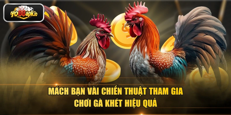 Mách bạn vài chiến thuật tham gia chơi gà khét hiệu quả Mách bạn vài chiến thuật tham gia chơi gà khét hiệu quả
