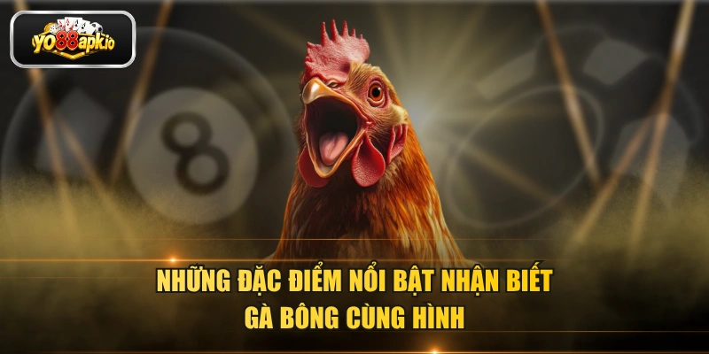 Những đặc điểm nổi bật nhận biết bà bông cùng hình