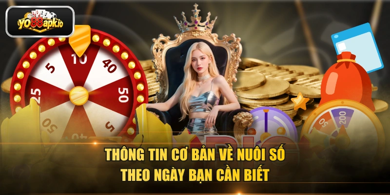 Thông tin cơ bản về nuôi số theo ngày bạn cần biết